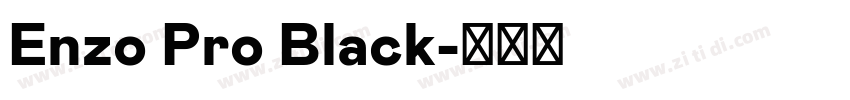 Enzo Pro Black字体转换